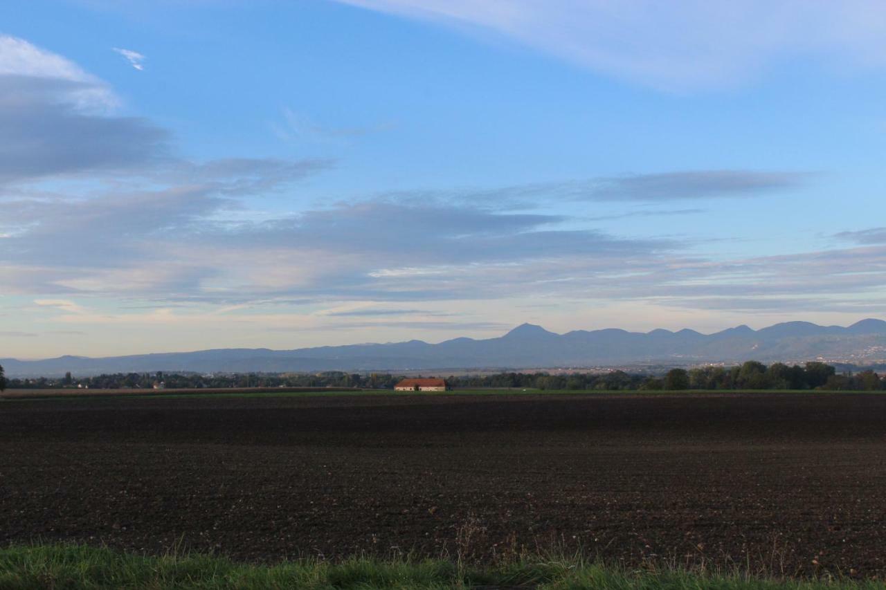 "Les Monnats" Gite 8 Personnes A La Campagne Chaptuzat Exterior foto